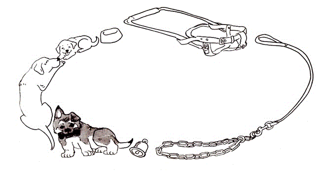 ミニ通信タイトルイラスト